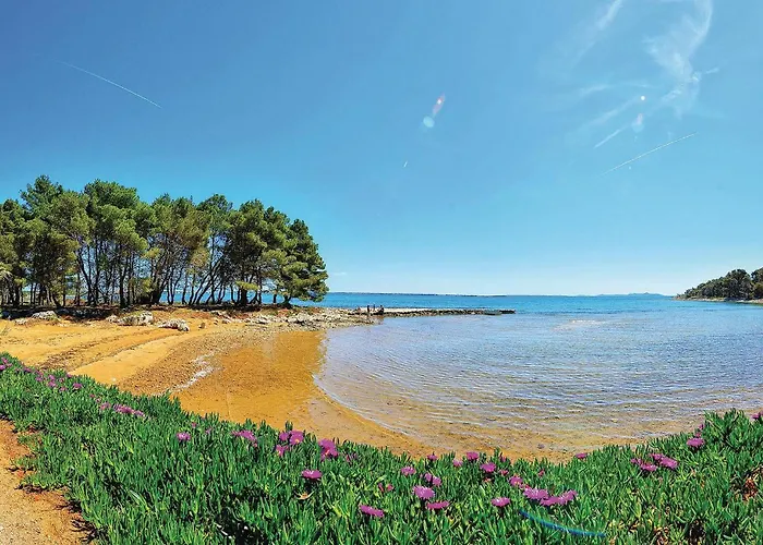 4 Bedroom Stunning In